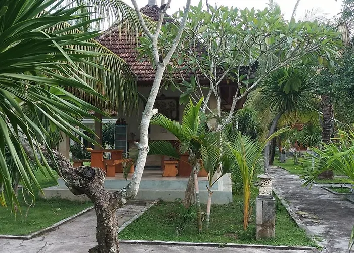 Wani Bali Toyapakeh