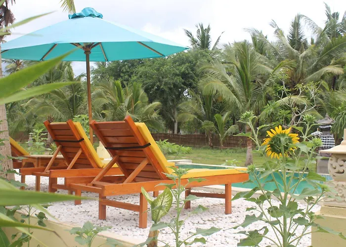 Wani Bali