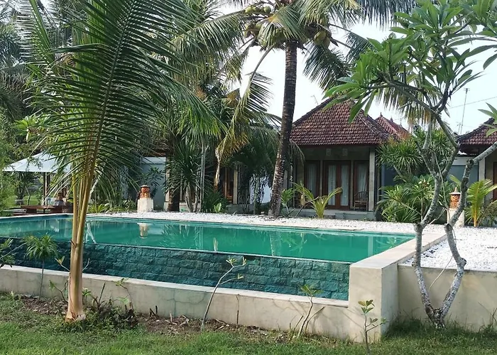 Wani Bali